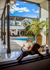 hotel capilla del sol