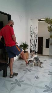 hotel capilla del sol