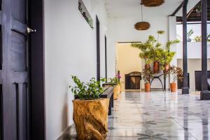 hotel capilla del sol