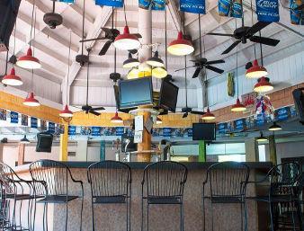 baymont by wyndham tampa near busch gardens