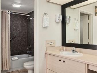 baymont by wyndham tampa near busch gardens