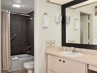 baymont by wyndham tampa near busch gardens