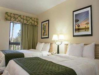 baymont by wyndham tampa near busch gardens