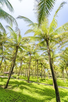 tuana hotels cam ranh resort