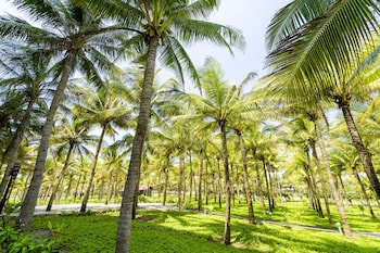 tuana hotels cam ranh resort