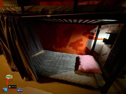 hostel by zoo family