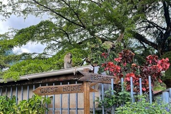 caffe roma loriginale boutique lodge