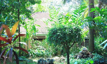 caffe roma loriginale boutique lodge