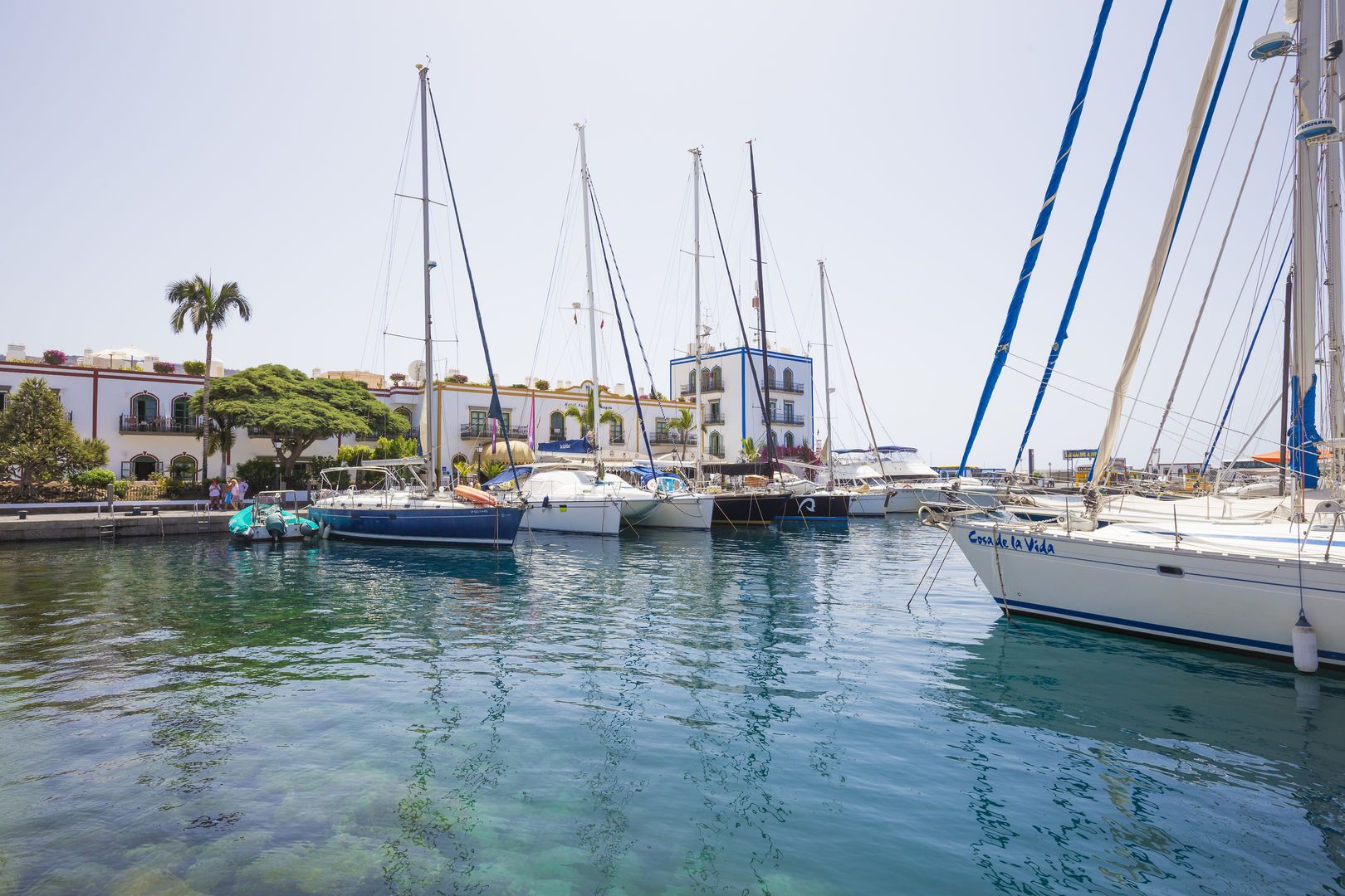 hotel livvo puerto de mogan