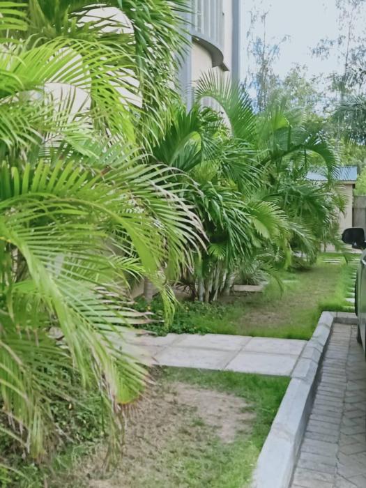 lux suites dofils sunset apartments