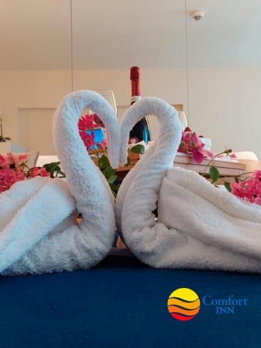 comfort inn orbi city