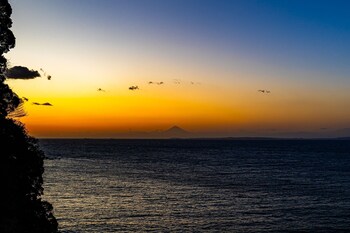 the view minamiboso