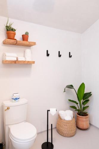 sisu a boutique motel