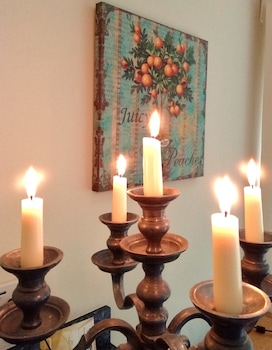 Little Orchard Bed And Breakfast Chichester,207 Whyke Rd,4 star
