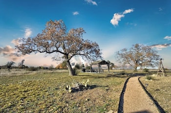 Stargazing Retreat At Lone Star Cottage,,3 star
