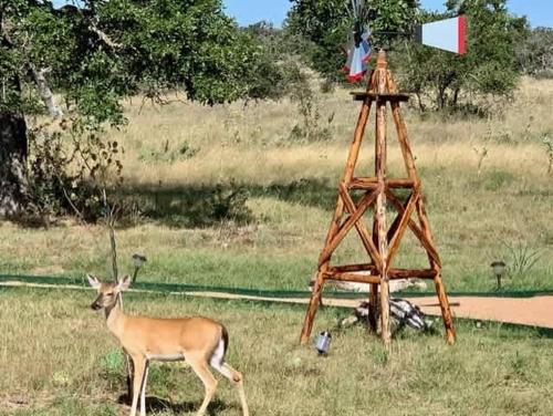 stargazing retreat at lone star cottage