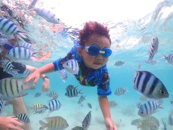 Puteri Lanta Family Villas,Ko Lanta>>Ba Kan Tiang Beach,4 star