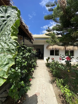 wild monkeys hostel