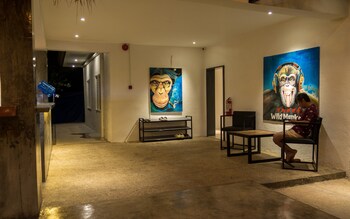 Wild Monkeys Hostel,,1 star