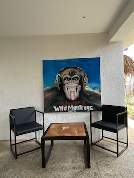 Wild Monkeys Hostel,,1 star