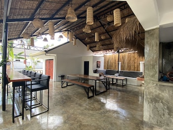 wild monkeys hostel