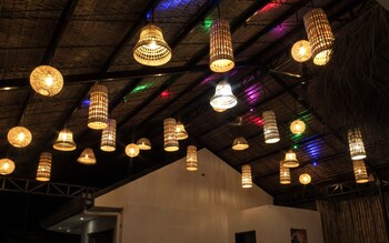 wild monkeys hostel