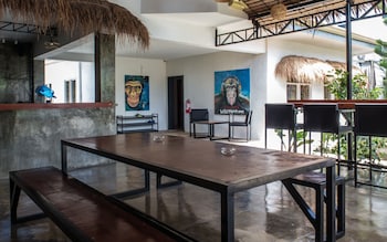 wild monkeys hostel