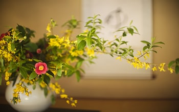 amami onsen nanten en