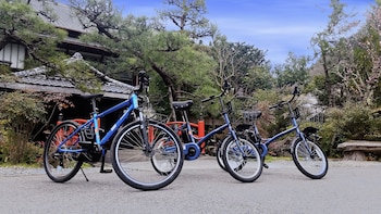 amami onsen nanten en