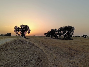masseria san lorenzo resort