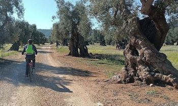 masseria san lorenzo resort