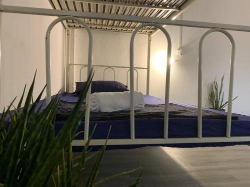 villa martial arts gym and hostel