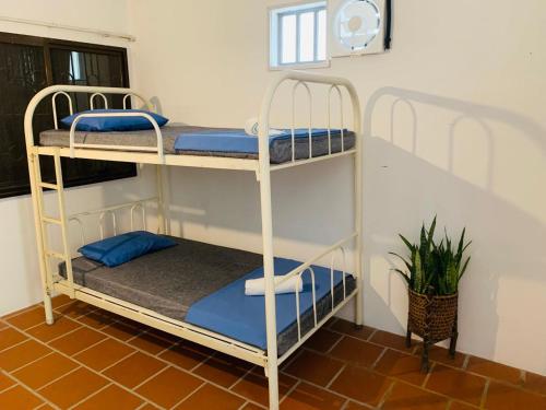 villa martial arts gym and hostel