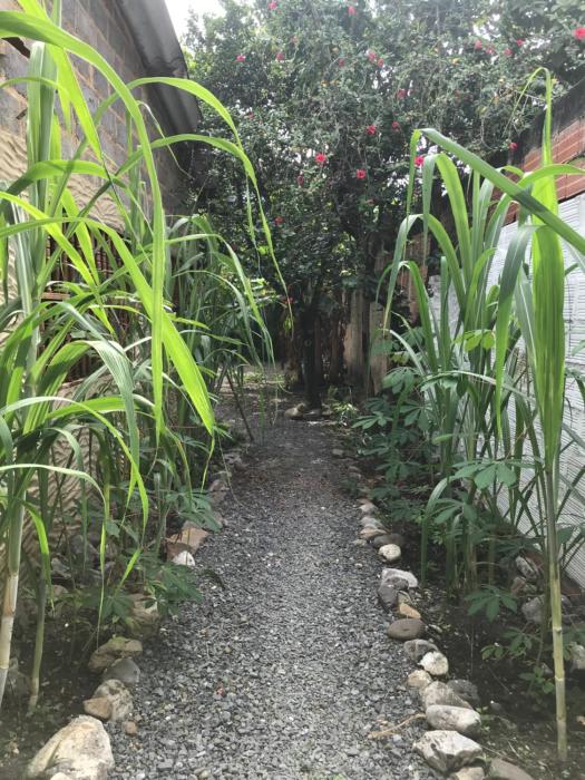 casa boutique remolino