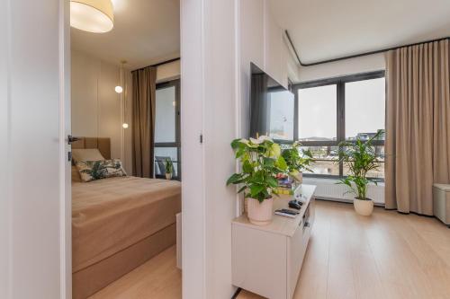 doki luxury voyager by grand apartments