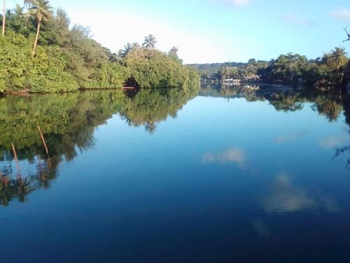 tropicana lagoon apartments