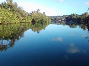 tropicana lagoon apartments