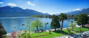 la palma au lac