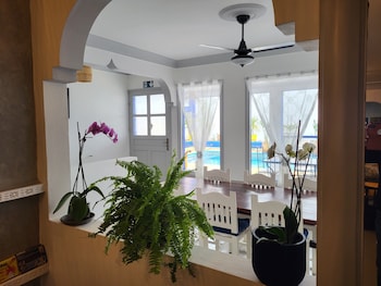 riad ghazal