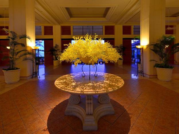 the busena terrace