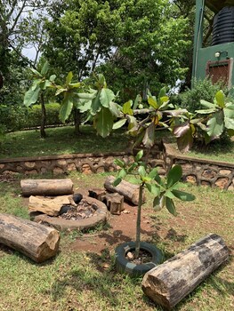 mpanga nature center