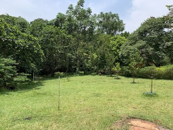 mpanga nature center
