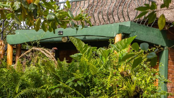 mpanga nature center