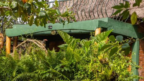 mpanga nature center