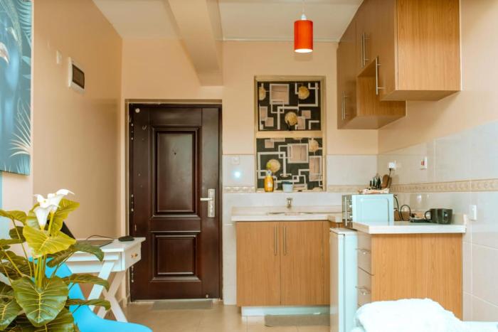 city view suites ngara