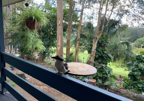 diddillibah