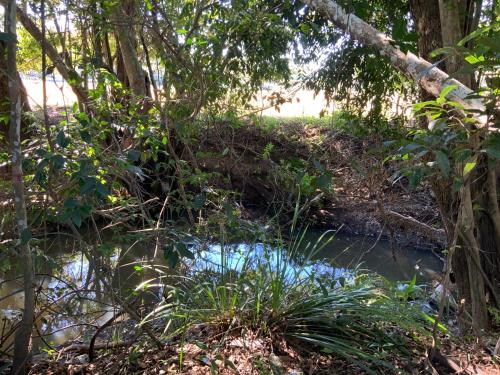 sunshine coast retreat