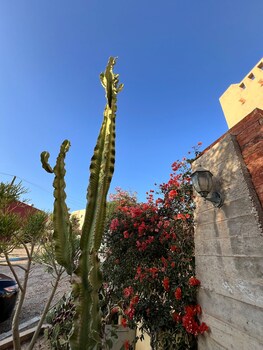 art point guesthouse