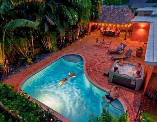 hidden gem vacation villa w private pool tikihut