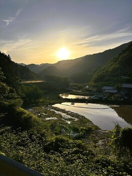 yusukawa guesthouse coccoron